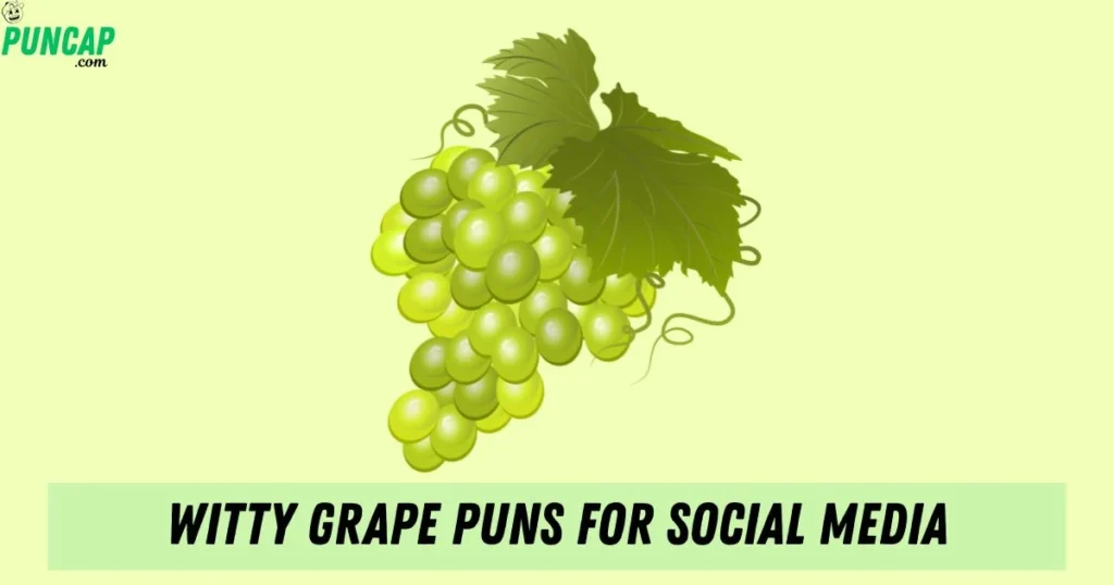 Witty Grape Puns For Social Media
