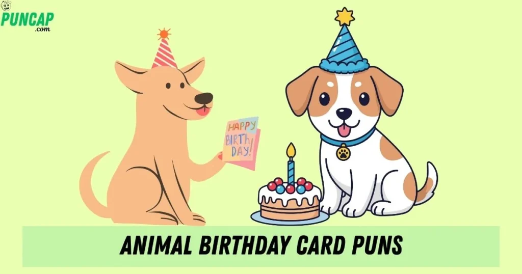 Animal Birthday Card Puns