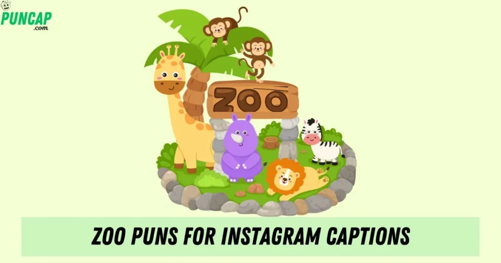 Zoo Puns For Instagram Captions