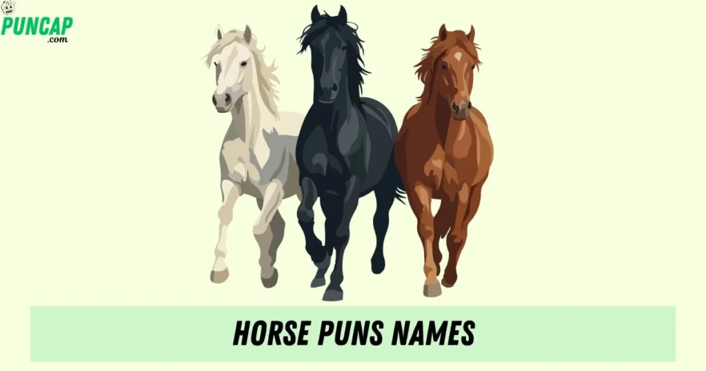 Horse Puns Names