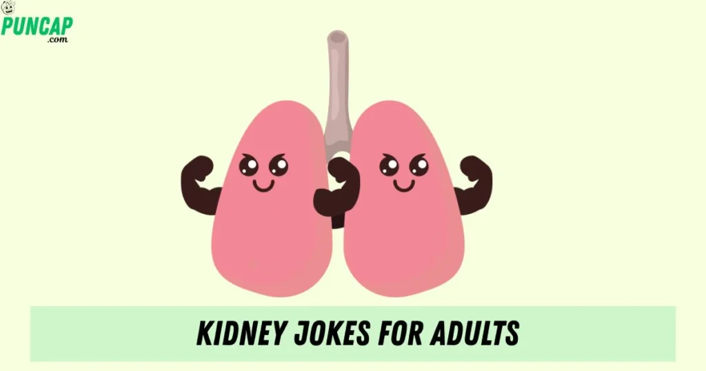 Kidney Jokes For Adults