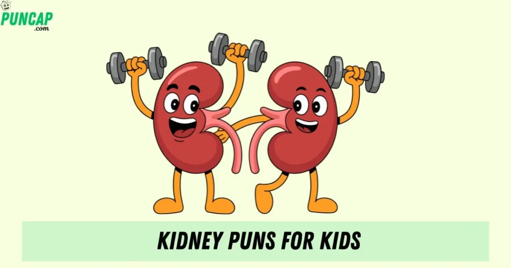 Kidney Puns For Kids