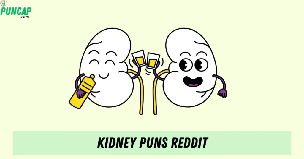 Kidney Puns Reddit