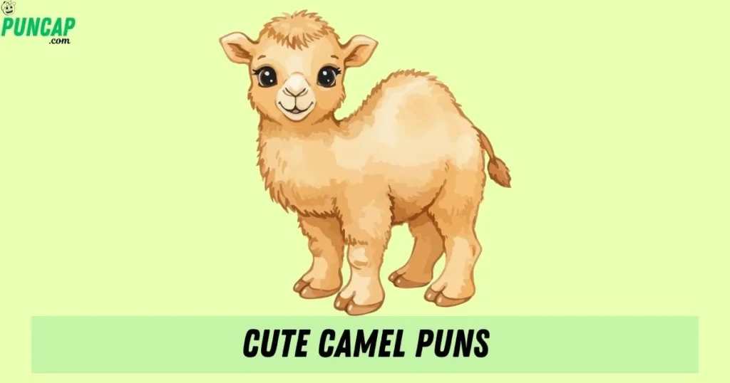 Cute Camel Puns