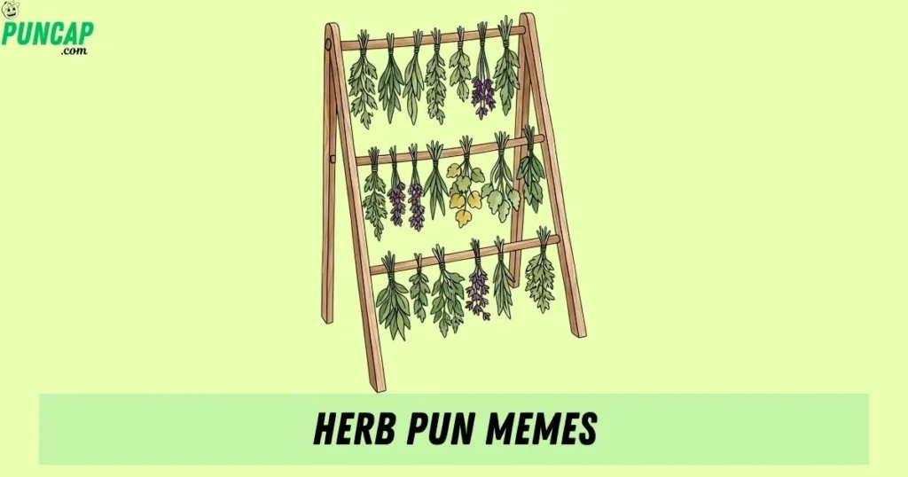 Herb Pun Memes