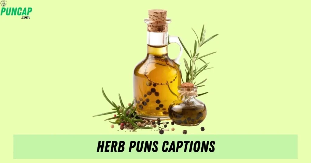 Herb Puns Captions