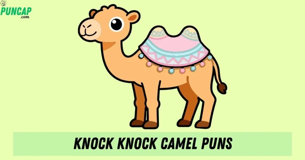 Knock Knock Camel Puns