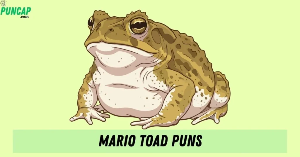 Mario Toad Puns