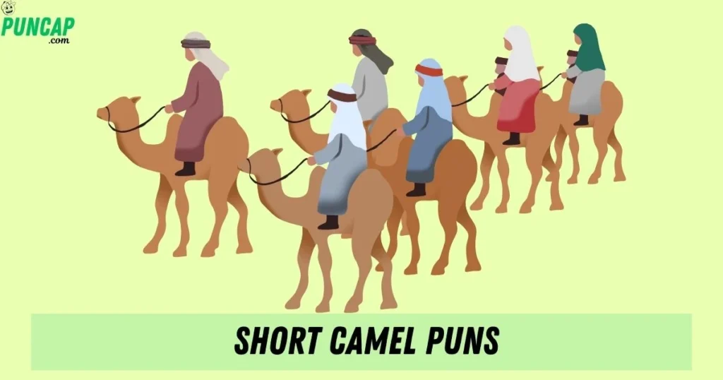 Short Camel Puns