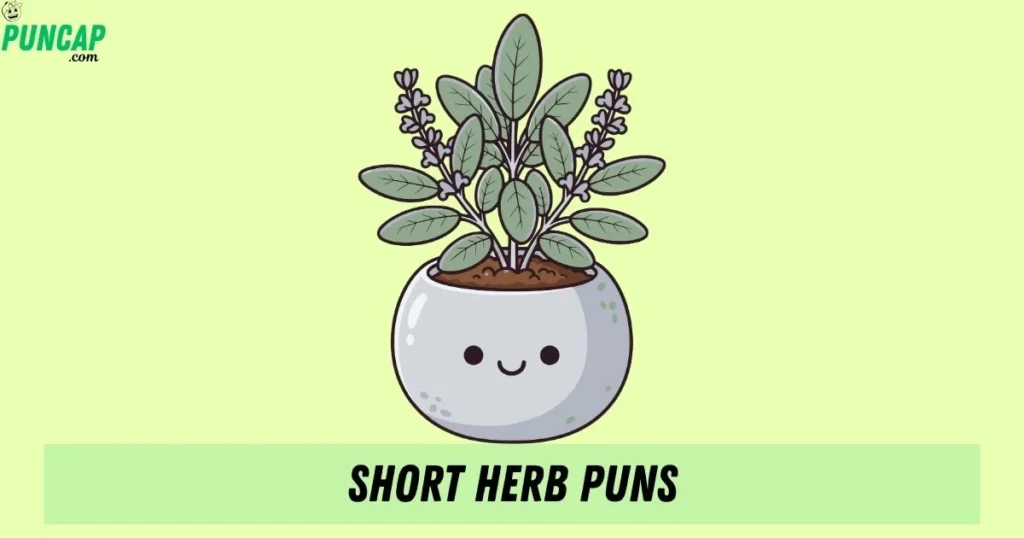 Short Herb Puns