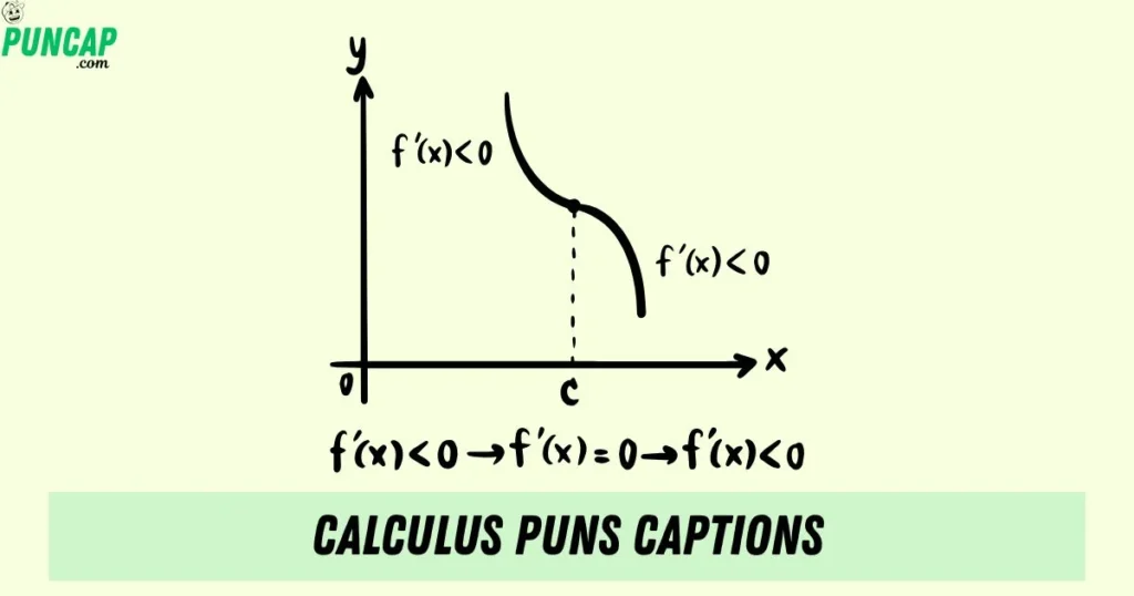 Calculus Puns Captions