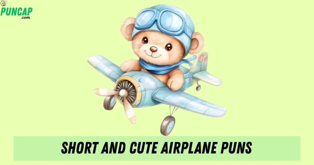 Short And Cute Airplane Puns