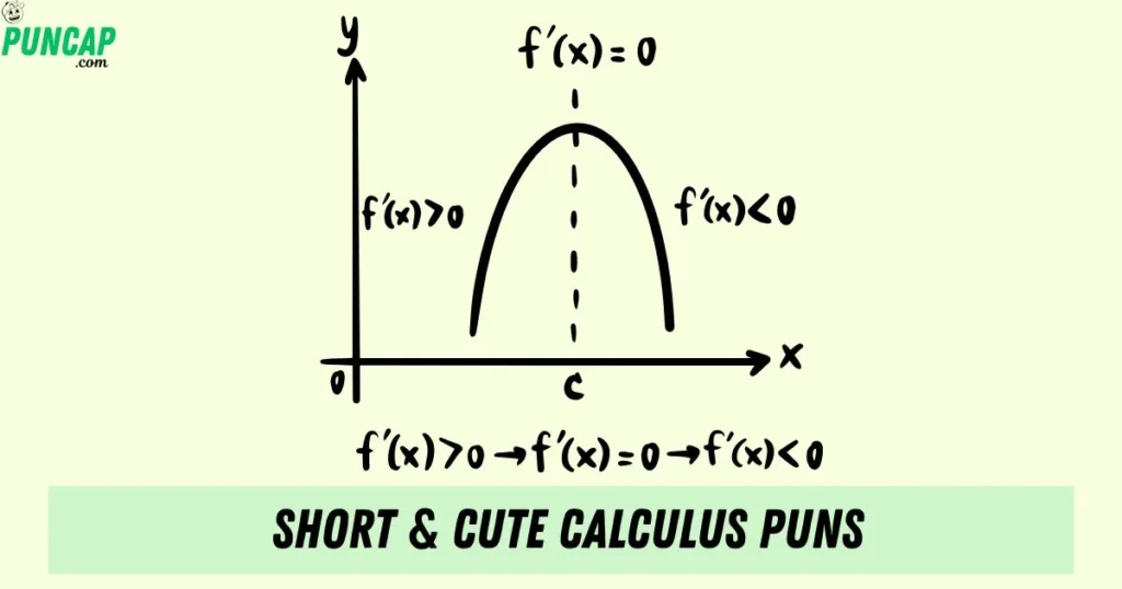 Short And Cute Calculus Puns