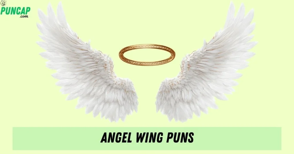 Angel Wing Puns