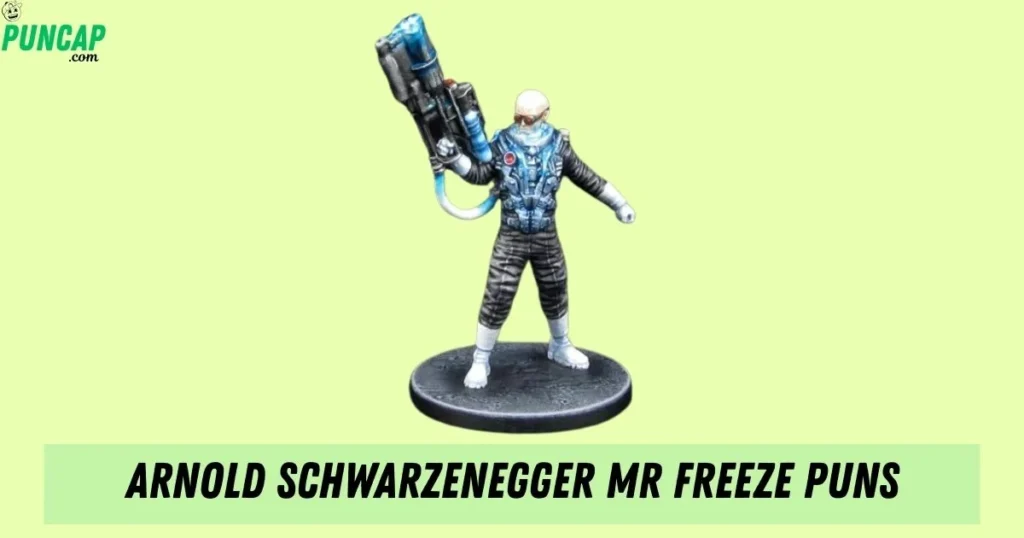 Arnold Schwarzenegger Mr Freeze Puns