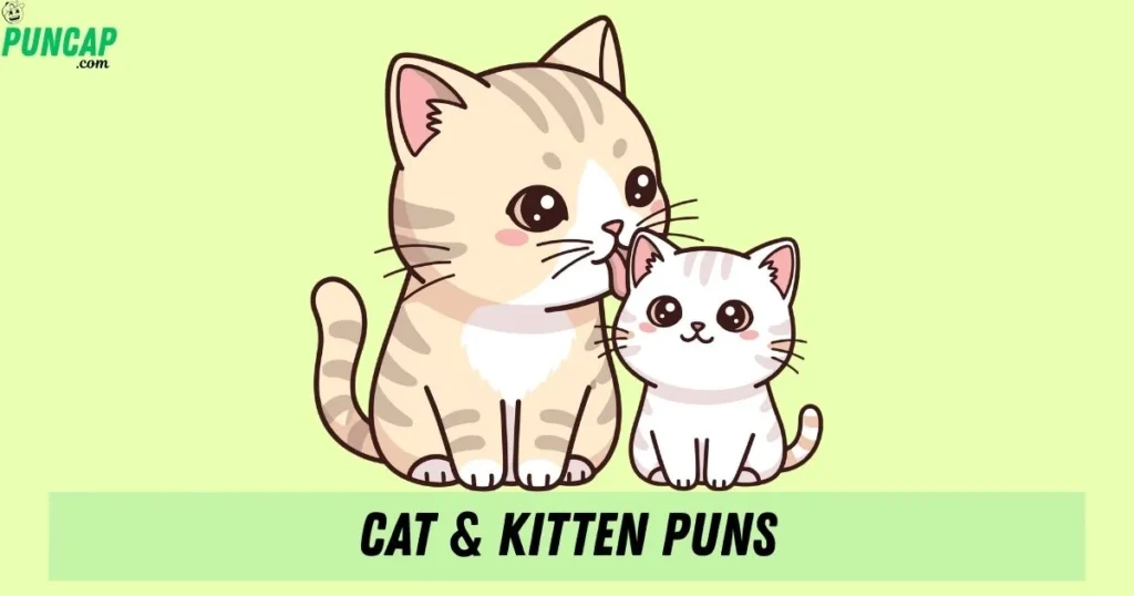 Cat And Kitten Puns