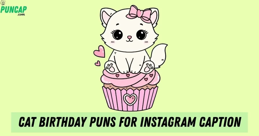 Cat Birthday Puns For Instagram Caption