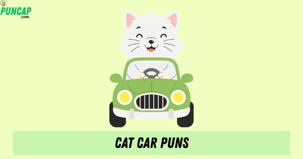 Cat Car Puns
