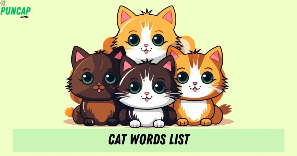 Cat Words List