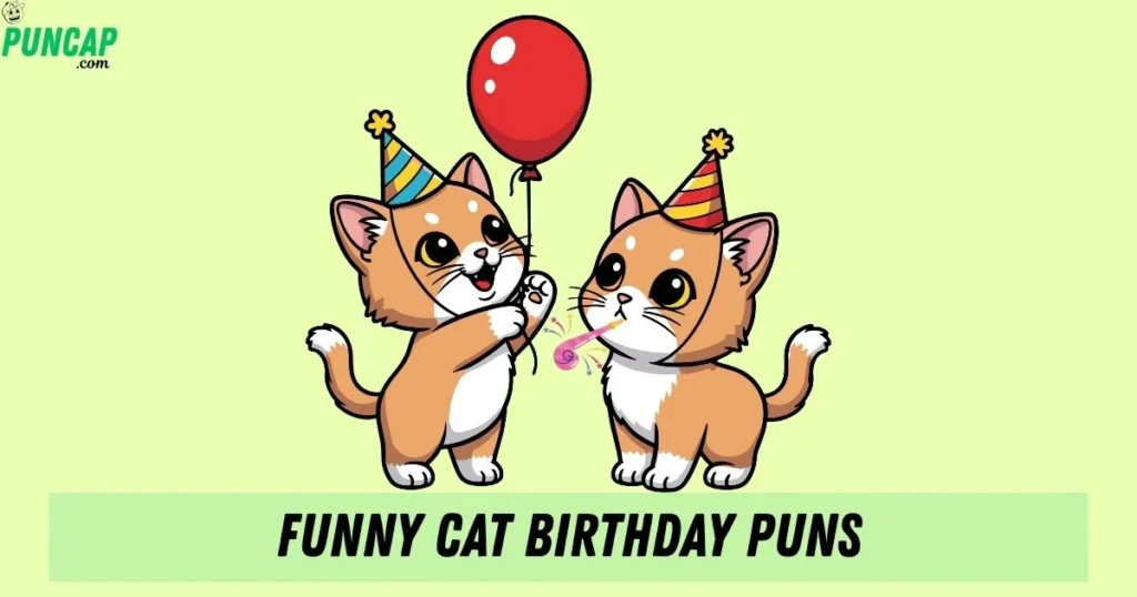 Funny Cat Birthday Puns