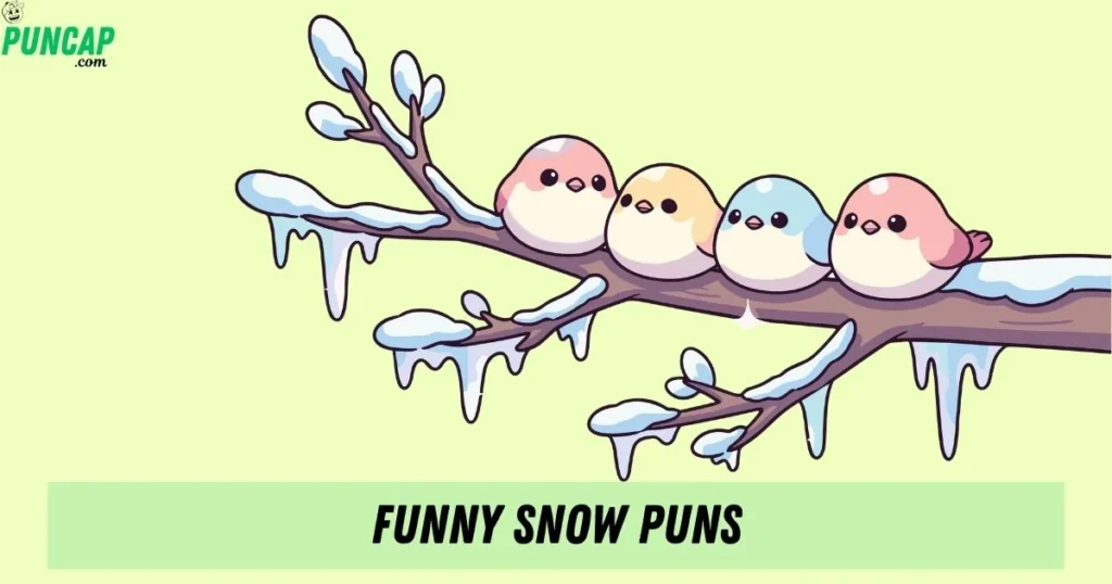 Funny Snow Puns