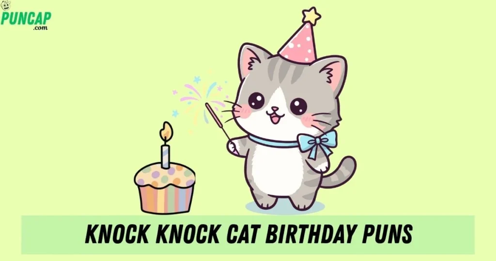 Knock Knock Cat Birthday Puns