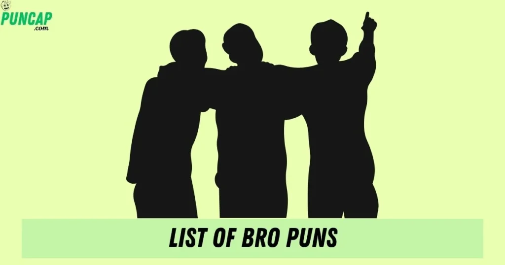 List Of Bro Puns