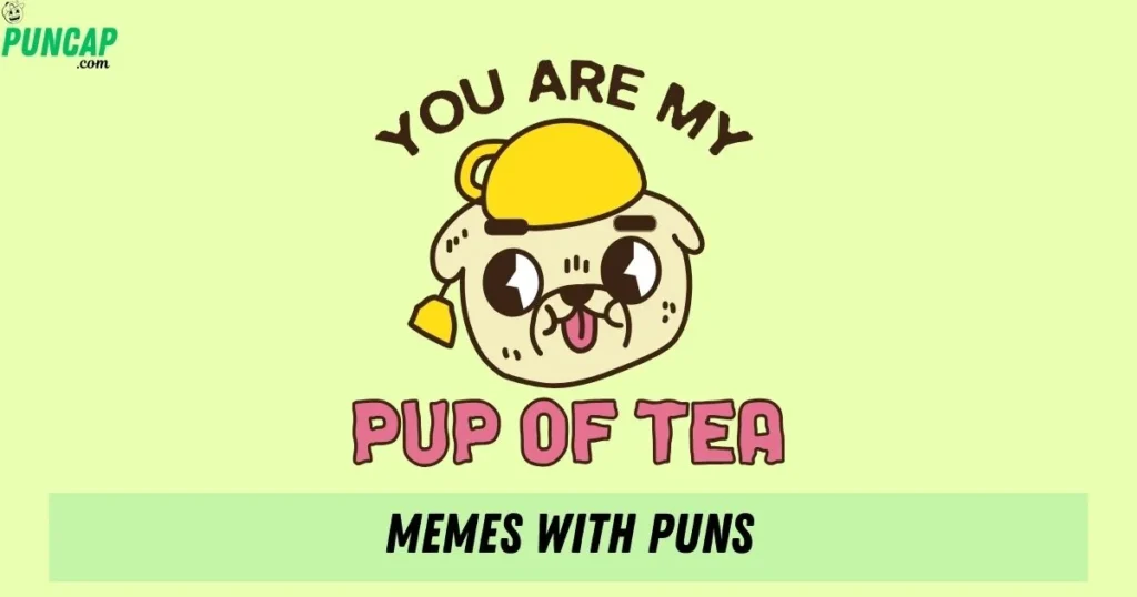 Memes With Puns