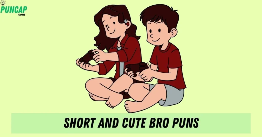 Short And Cute Bro Puns