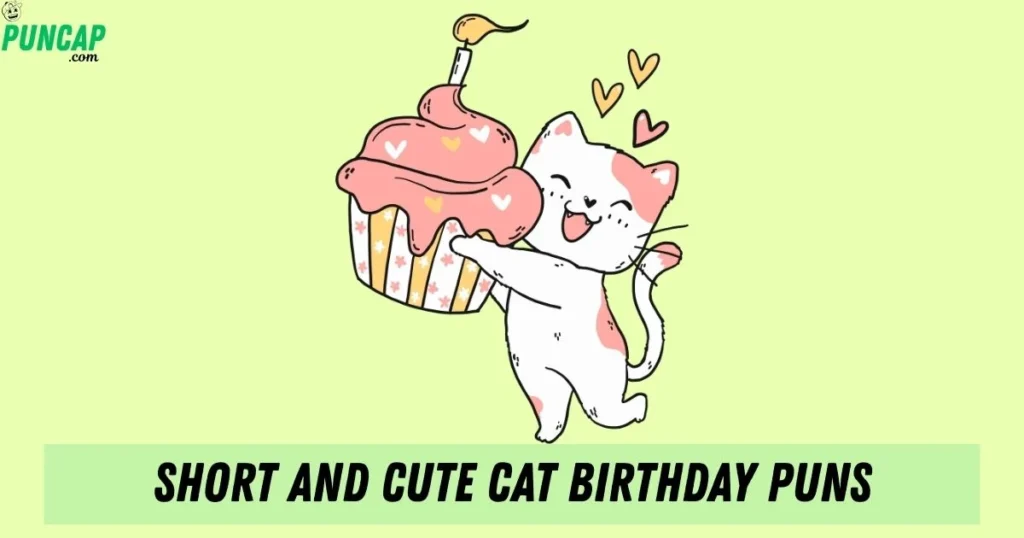 Short And Cute Cat Birthday Puns