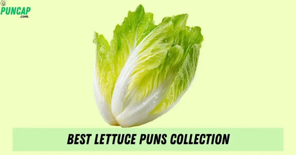 Best Lettuce Puns Collection