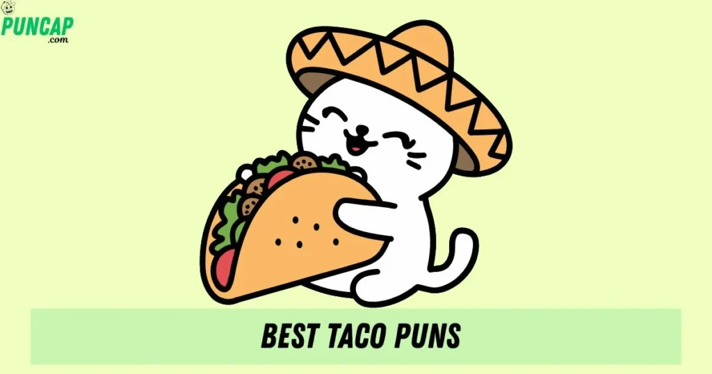 Best Taco Puns