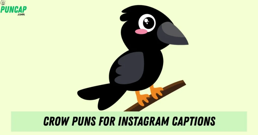 Crow Puns For Instagram Captions