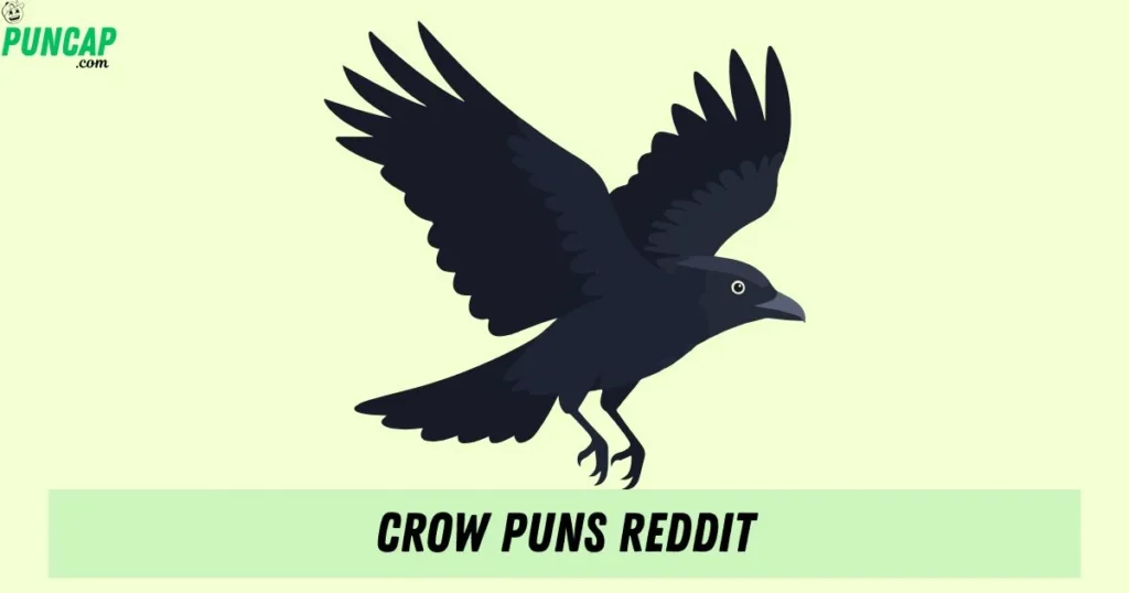 Crow Puns Reddit