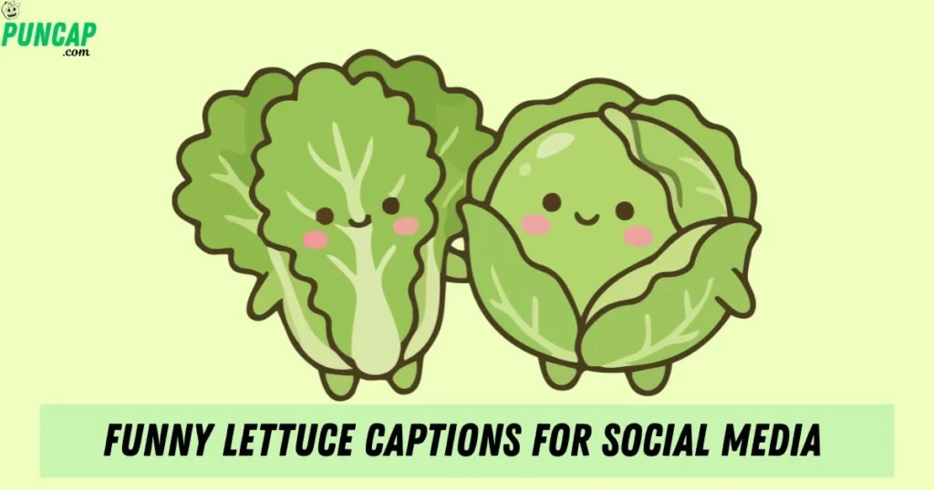 Funny Lettuce Captions For Social Media