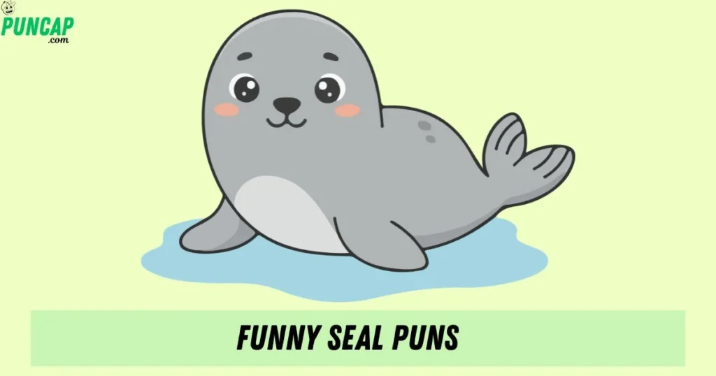 Funny Seal Puns