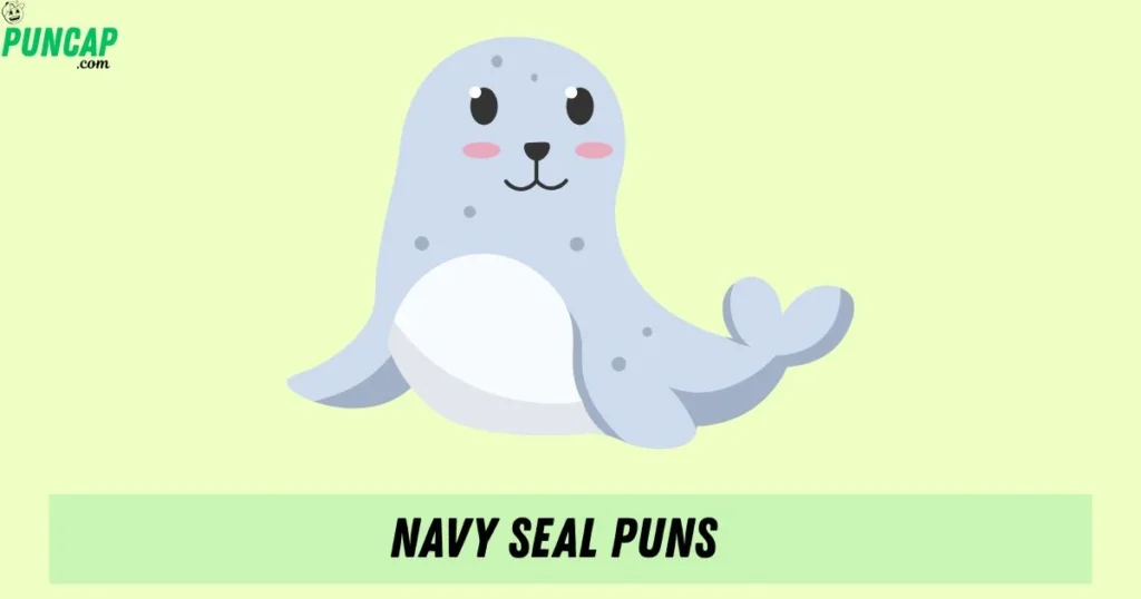 Navy Seal Puns