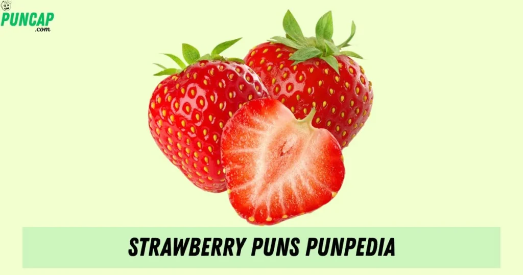 Strawberry Puns Punpedia