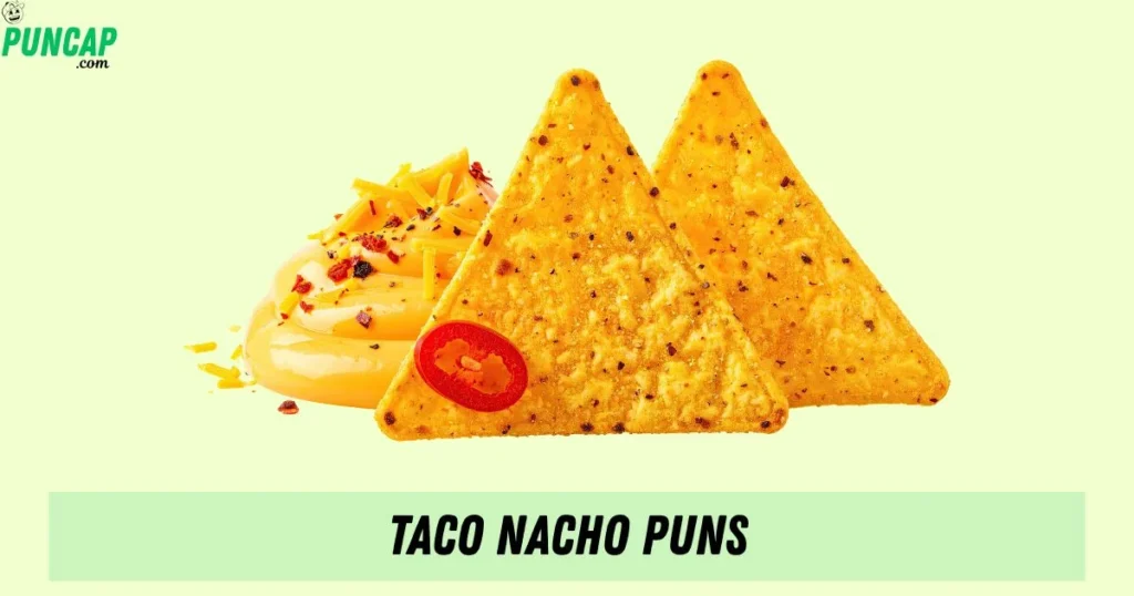 Taco Nacho Puns