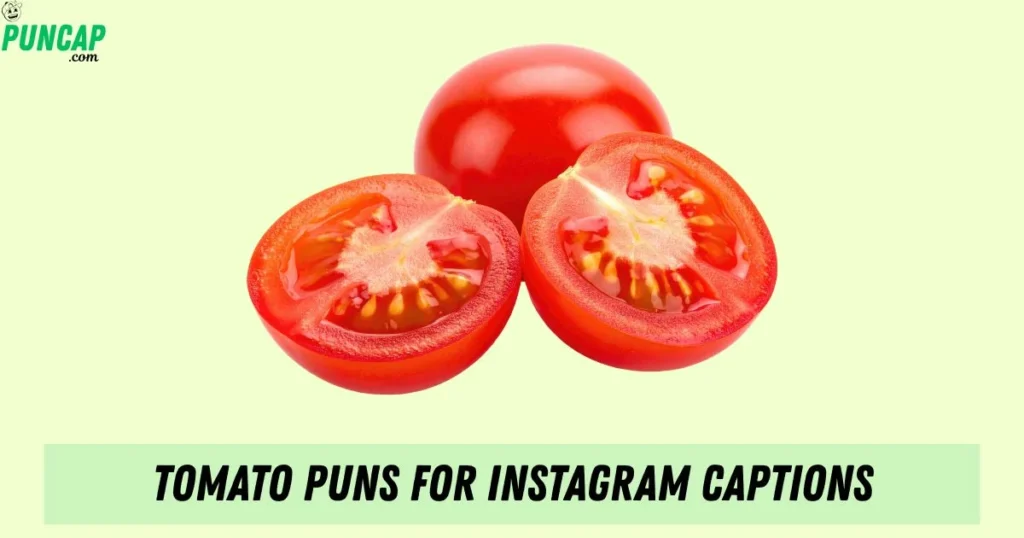 Tomato Puns For Instagram Captions