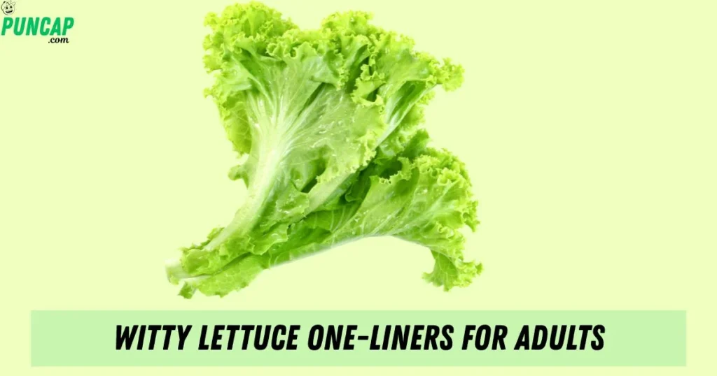 Witty Lettuce One Liners For Adults