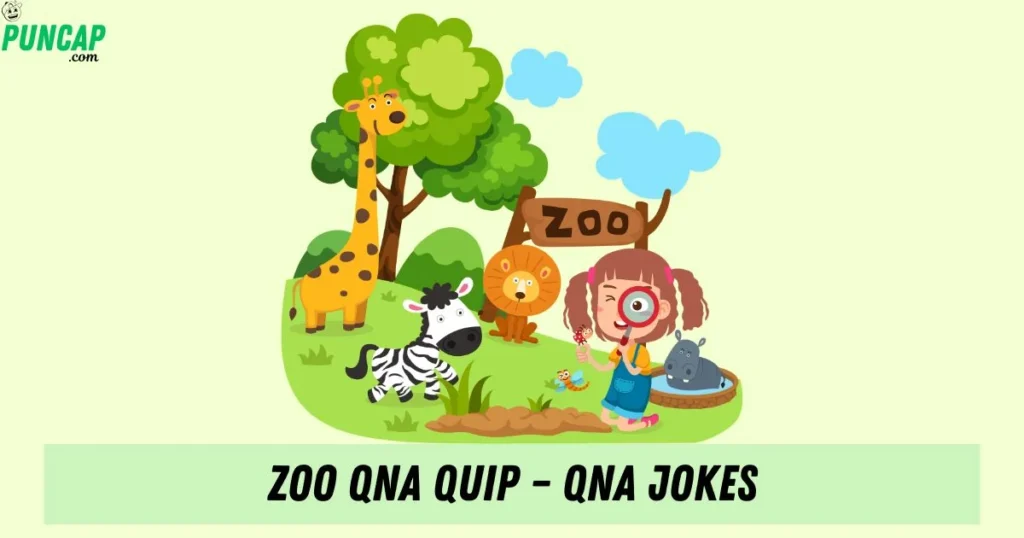 Zoo Qna Quip – Qna Jokes