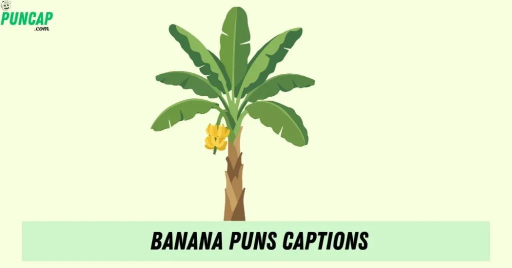 Banana Puns Captions