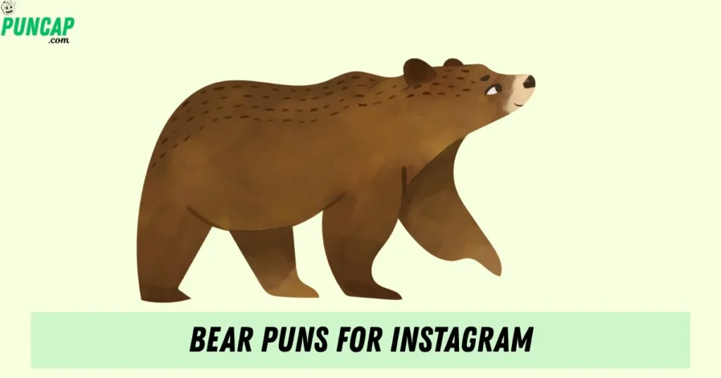 Bear Puns For Instagram