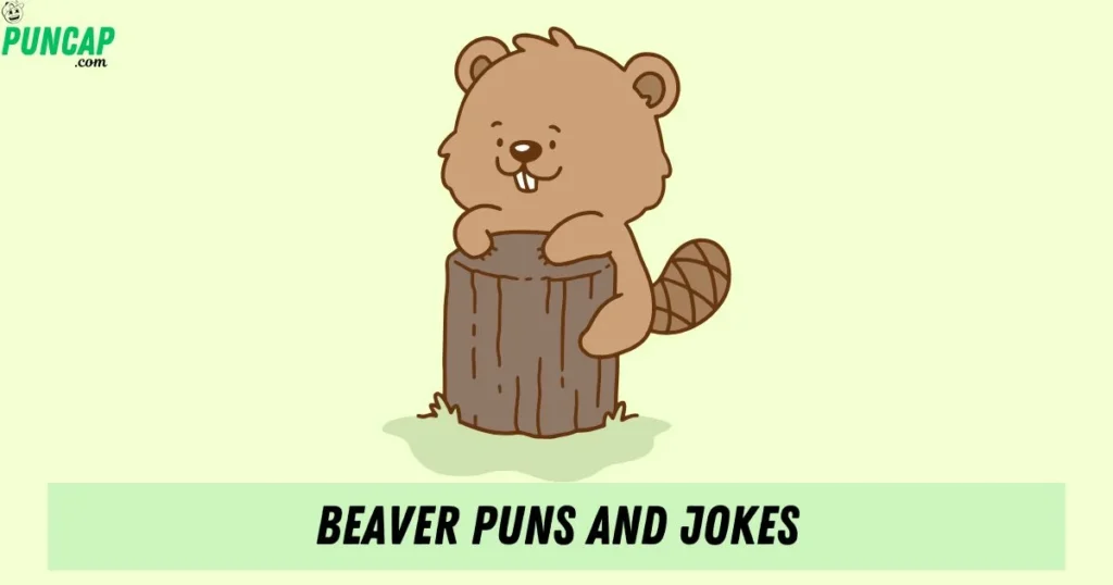 Beaver Puns And Jokes