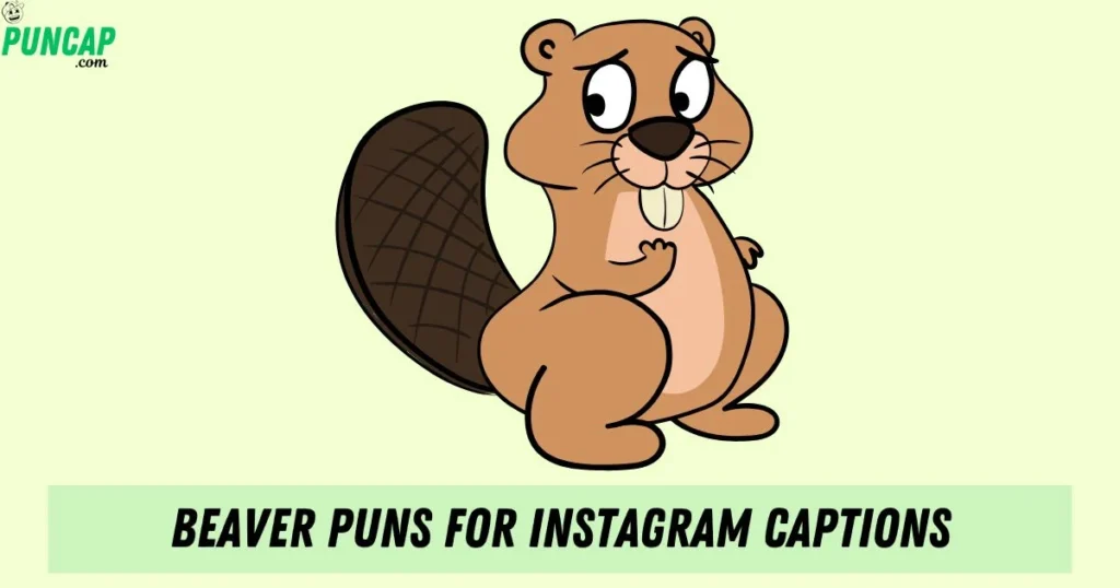 Beaver Puns For Instagram Captions