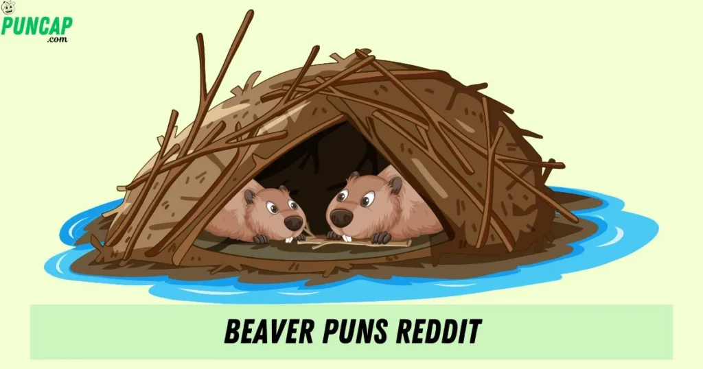 Beaver Puns Reddit