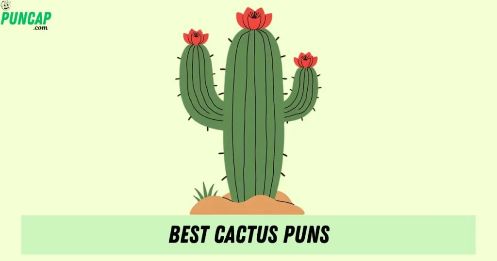 Best Cactus Puns