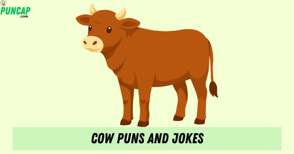 Cow Puns And Jokes