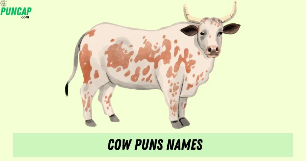 Cow Puns Names